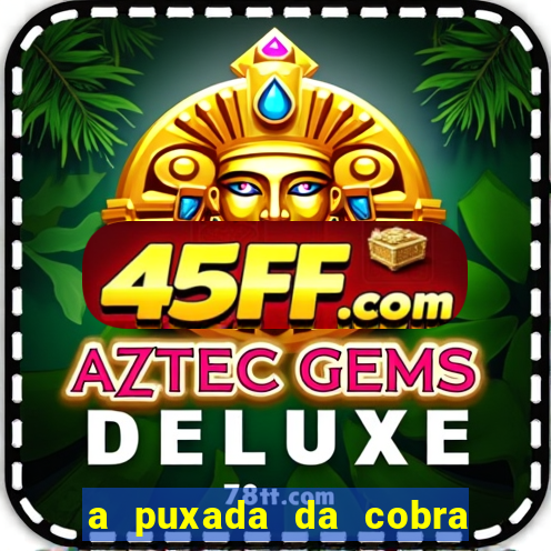 a puxada da cobra no jogo do bicho
